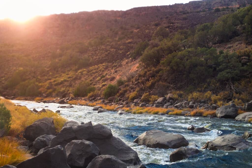 Hunting in Texas: 8 Great Public Hunting Lands