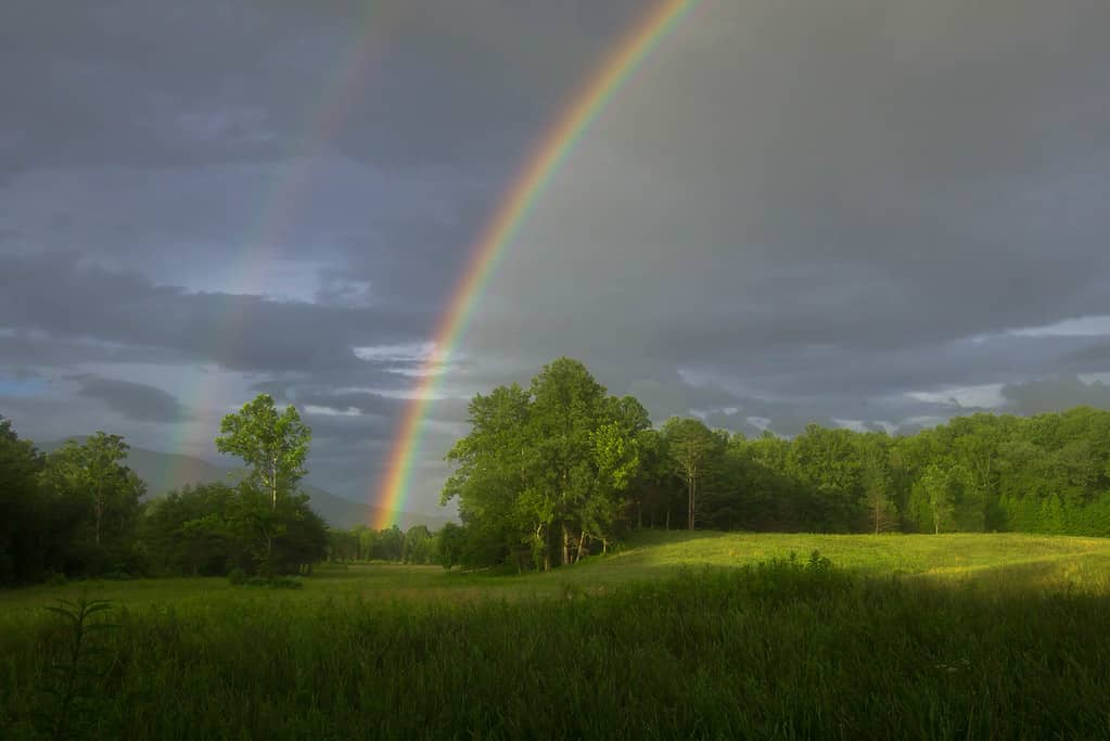 Is Rainwater Harvesting Legal? 10 Ways To Properly Use Rainwater