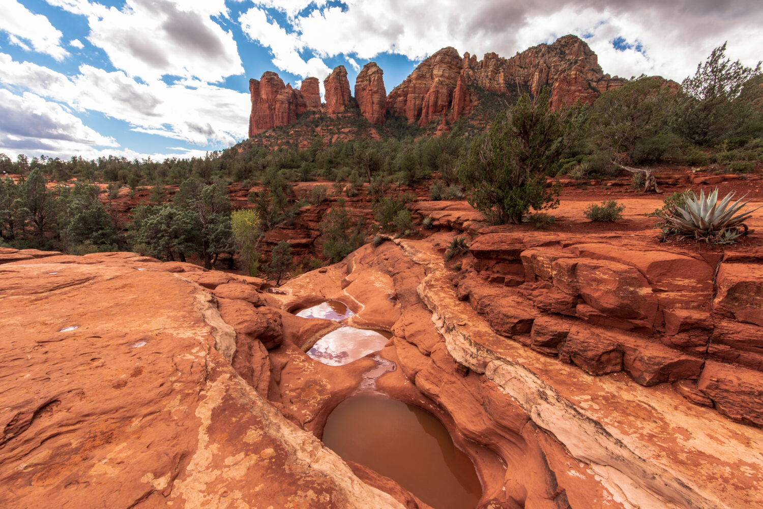 Discover 14 of Arizona's Most Beautiful and Iconic Hiking Trails