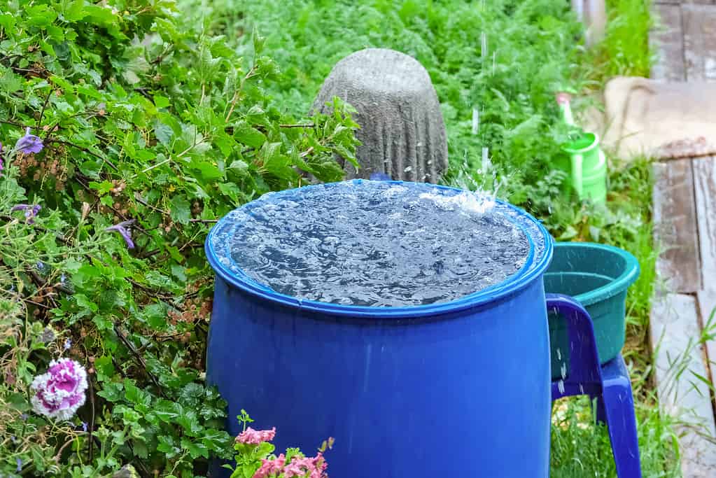 Is Rainwater Harvesting Legal? 10 Ways To Properly Use Rainwater