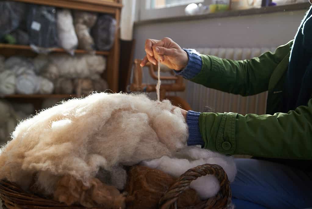 Discover the 10 Countries That Produce the Most Wool