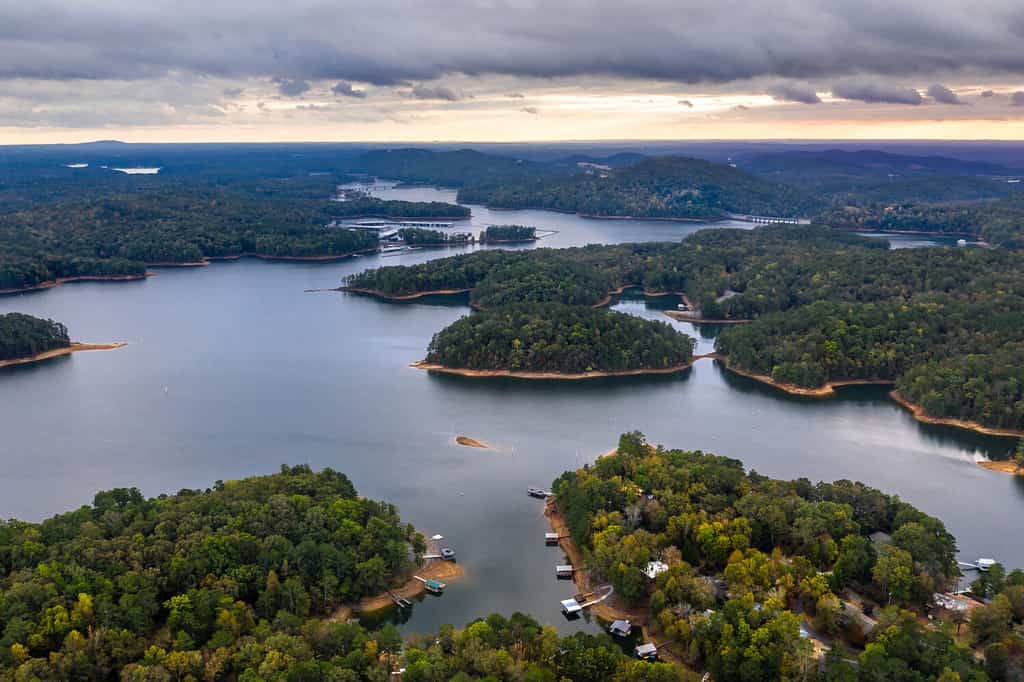 Discover 15 Amazing Fish Living in Lake Allatoona