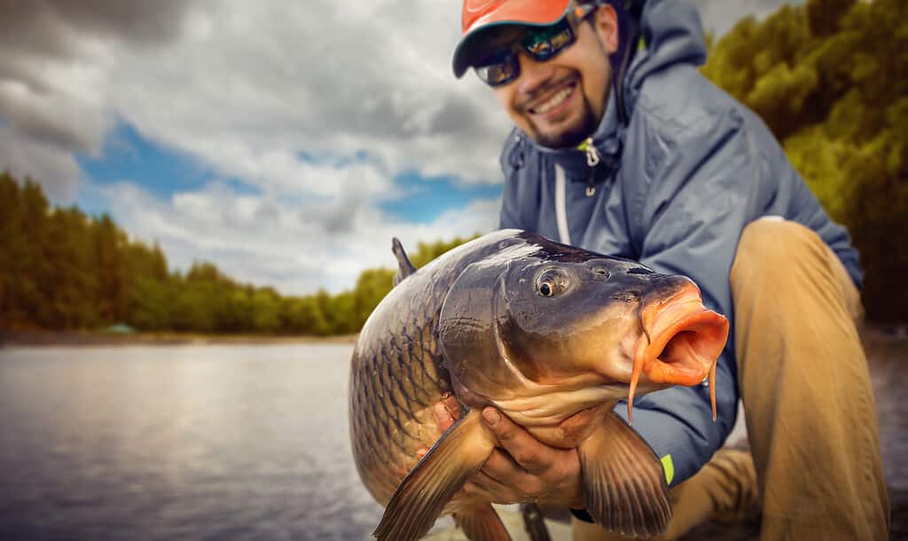 14 Fish with Big Lips (Photos and the Best Ones for Your Tank)