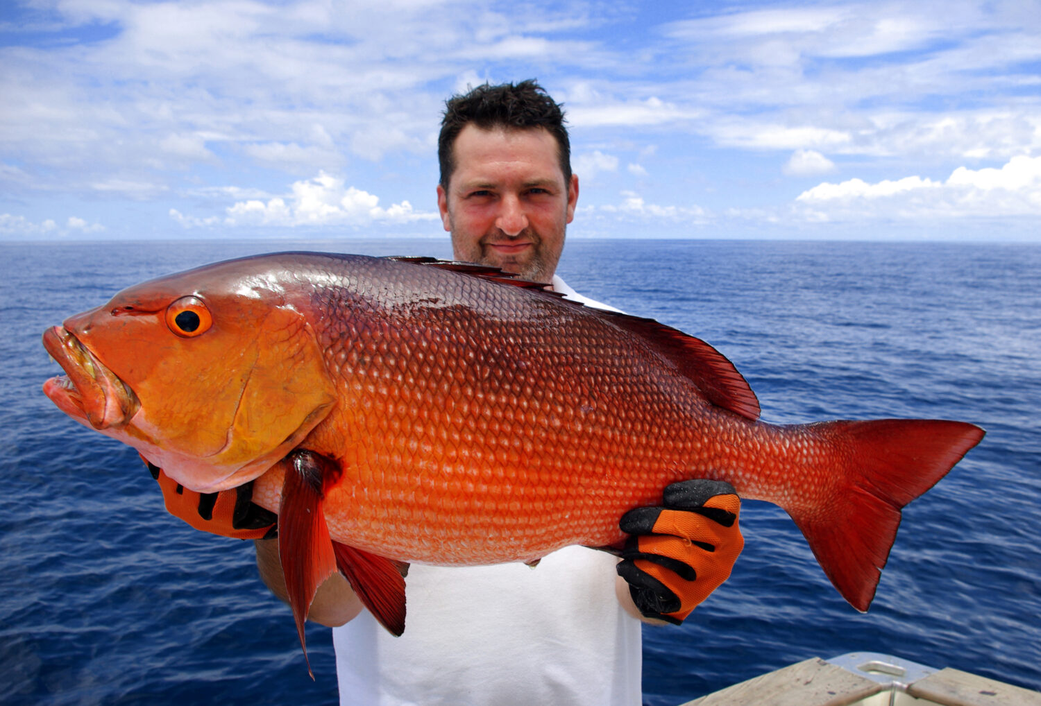 14 Fish with Big Lips (Photos and the Best Ones for Your Tank)