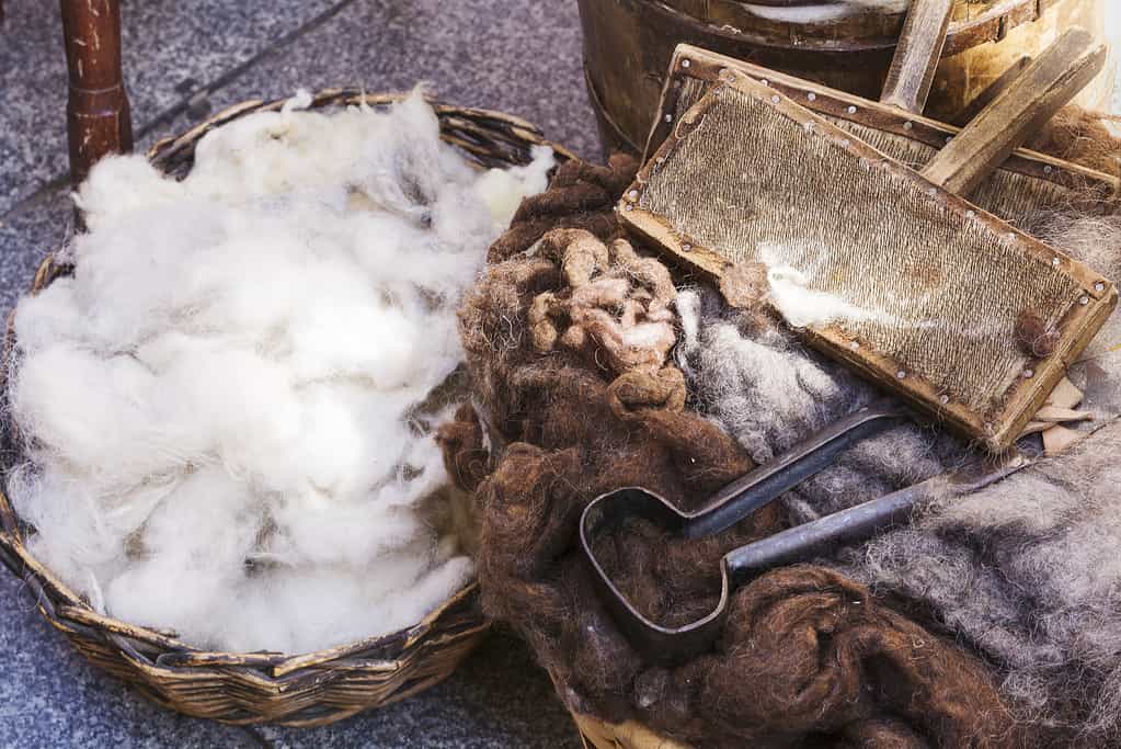 Discover the 10 Countries That Produce the Most Wool