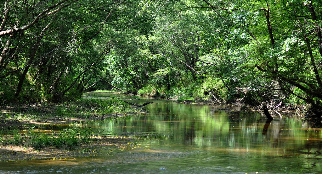 Discover the Top 18 Senior-Friendly Walking Trails in Texas