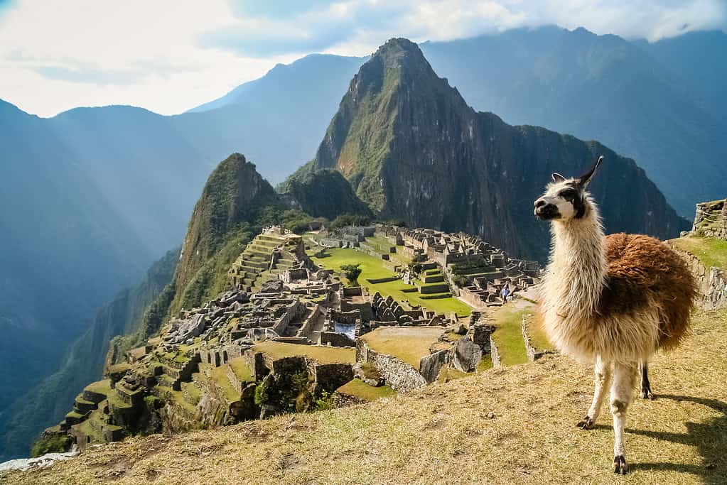 Discover How and When Machu Picchu Was Built