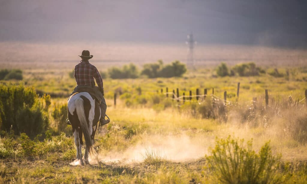 What is New Mexico Known For? 23 Things New Mexicans Love About Themselves