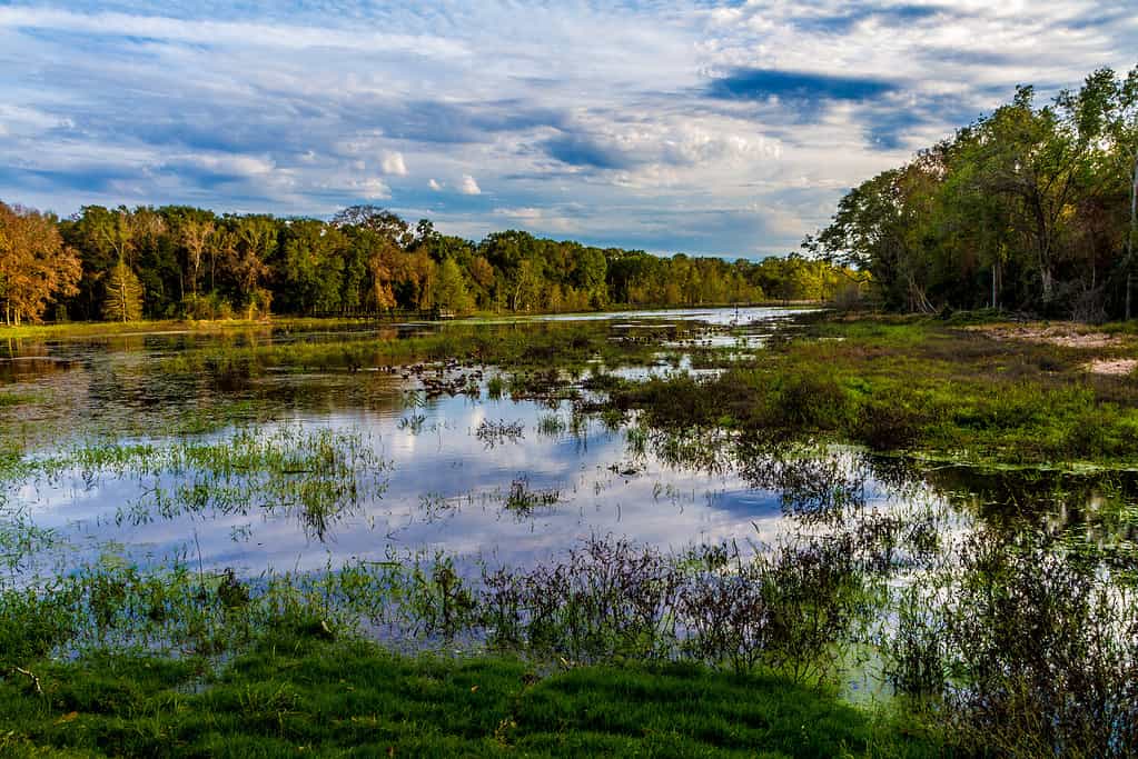 Discover the Top 18 Senior-Friendly Walking Trails in Texas