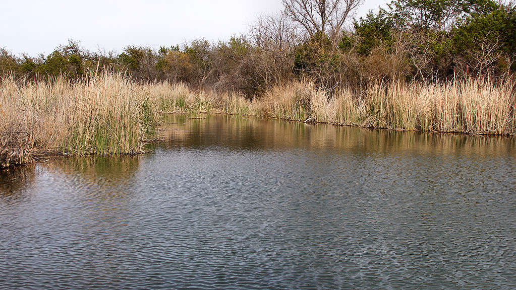 Discover the Top 18 Senior-Friendly Walking Trails in Texas