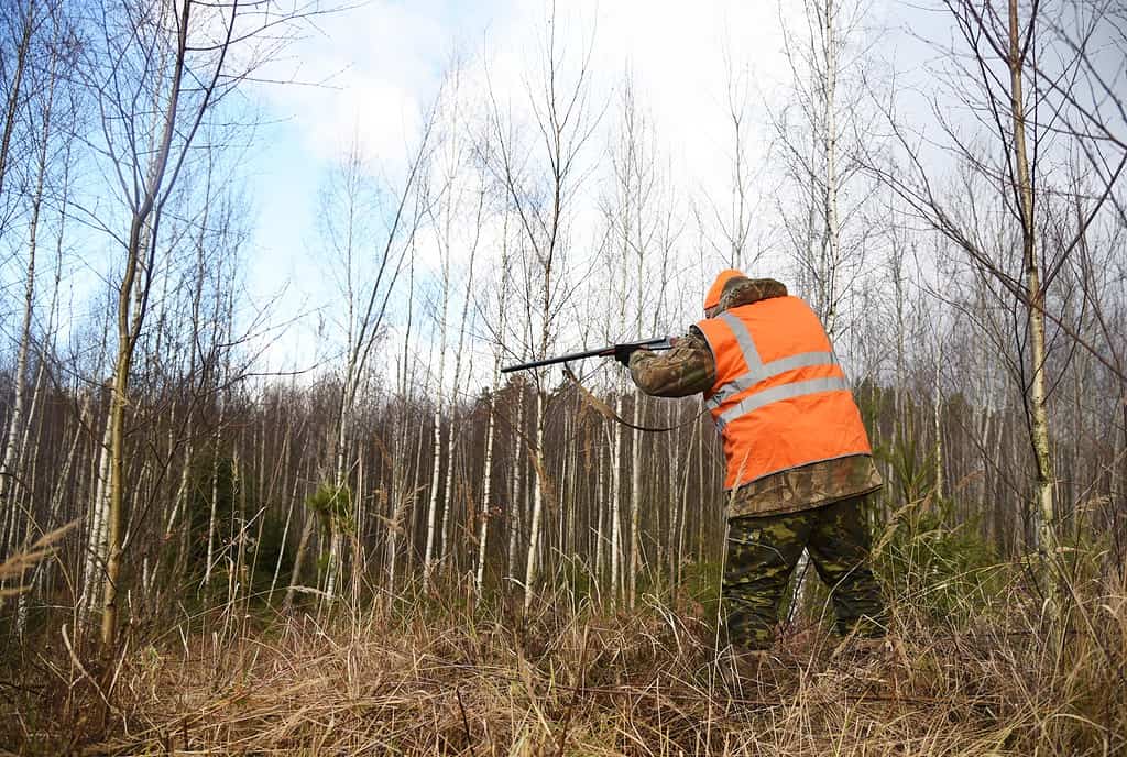 7 Reasons Minnesota Has the Best Deer Hunting in the U.S.