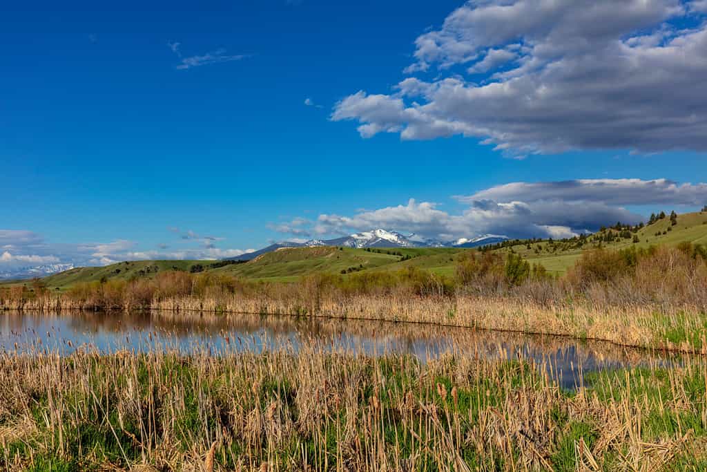 Hunting in Montana: 6 Great Public Hunting Lands