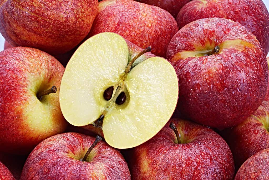 Discover the 10 U.S. States That Grow the Most Apples