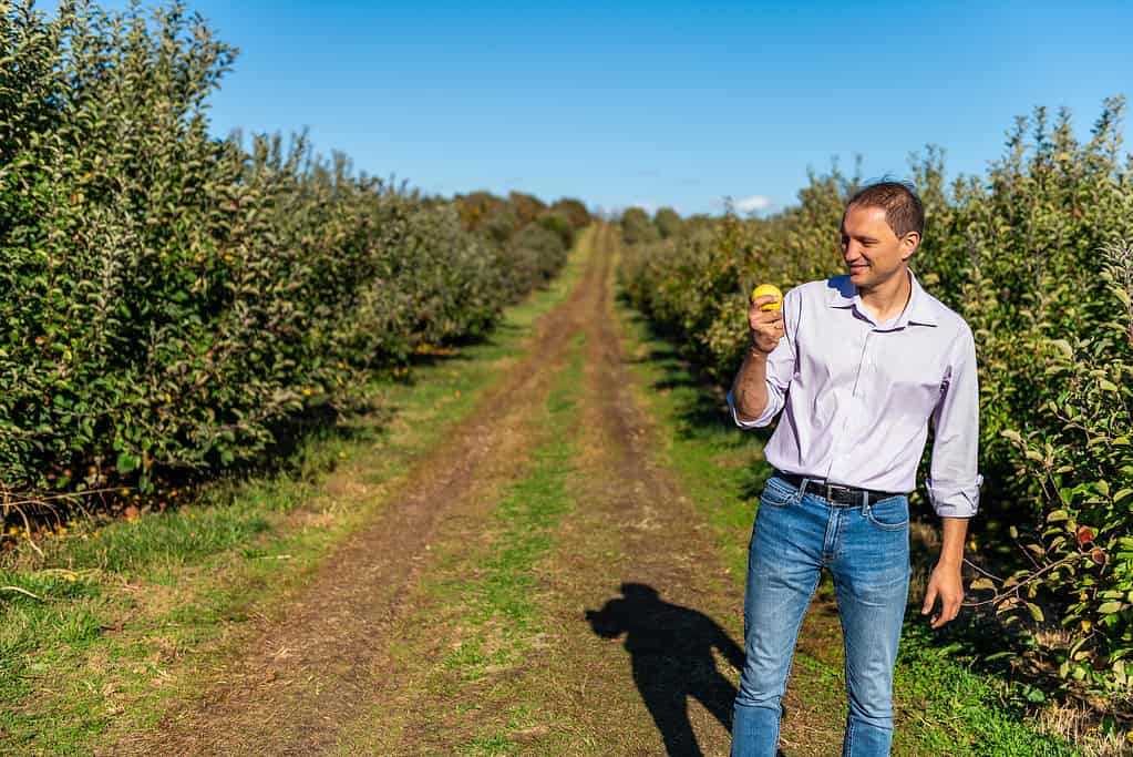 Discover the 10 U.S. States That Grow the Most Apples