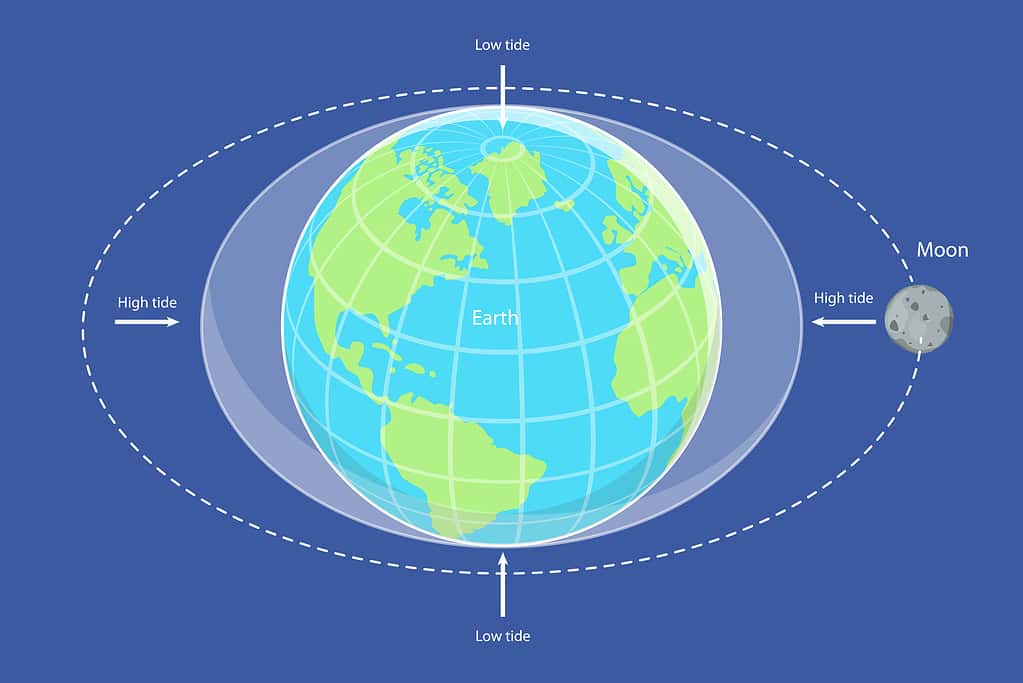 What Is a King Tide? Causes, Frequency, and More!