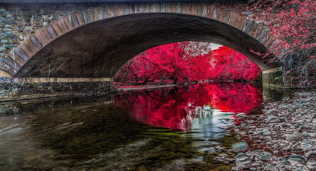 Discover the 9 Largest City Parks in Maryland