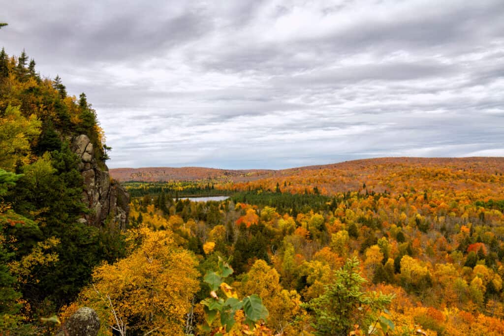 7 Reasons Minnesota Has the Best Deer Hunting in the U.S.