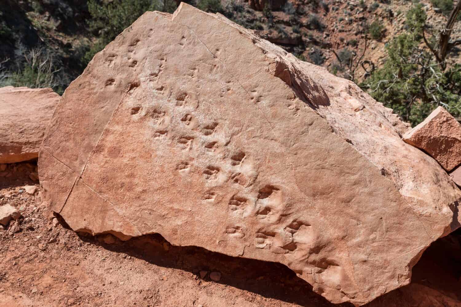 The 10 Most Incredible Discoveries Ever Unearthed in the Grand Canyon