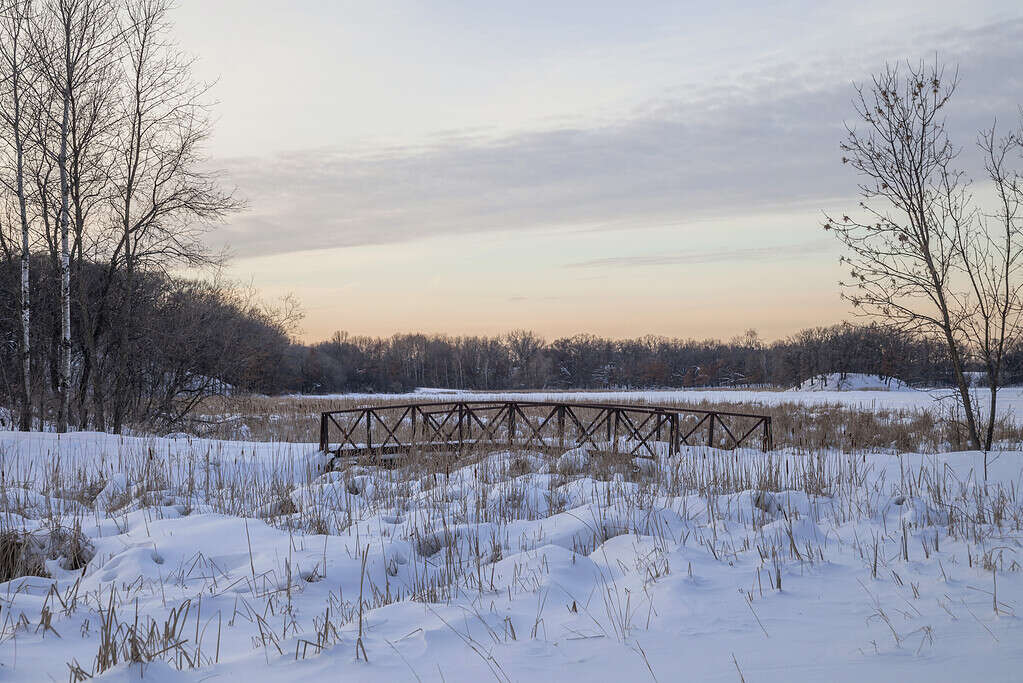 7 Reasons Minnesota Has the Best Deer Hunting in the U.S.