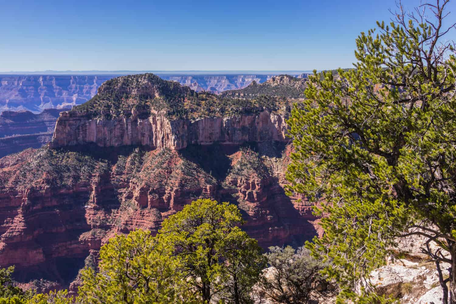 The 10 Most Incredible Discoveries Ever Unearthed in the Grand Canyon