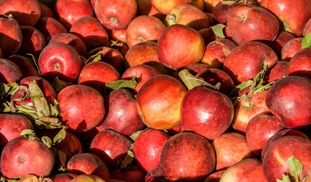 Discover the 10 U.S. States That Grow the Most Apples