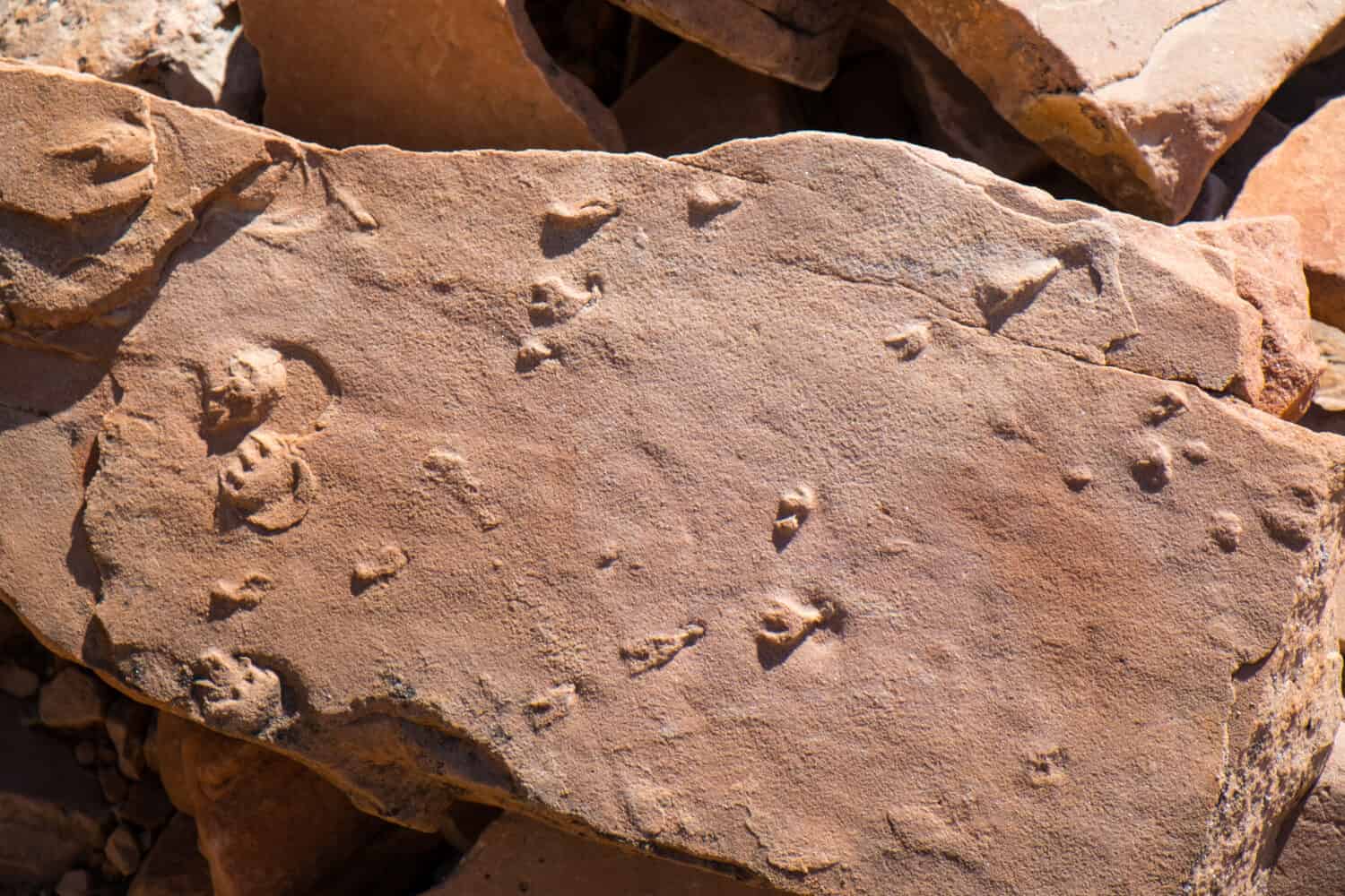 The 10 Most Incredible Discoveries Ever Unearthed in the Grand Canyon