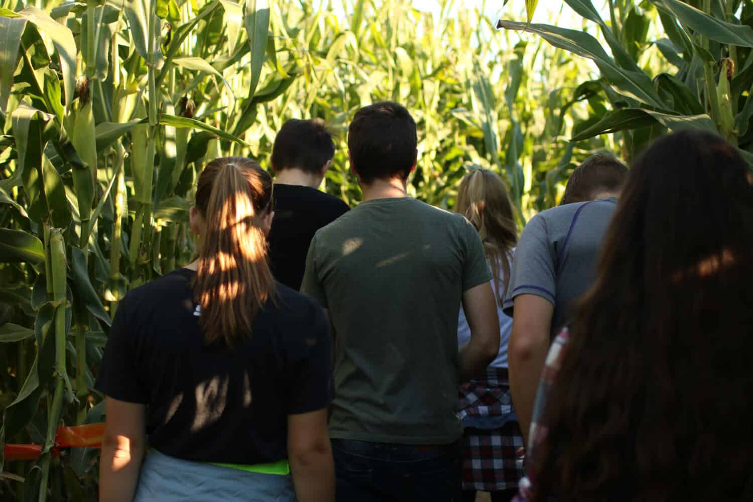 Discover the Largest Corn Maze in the Entire World