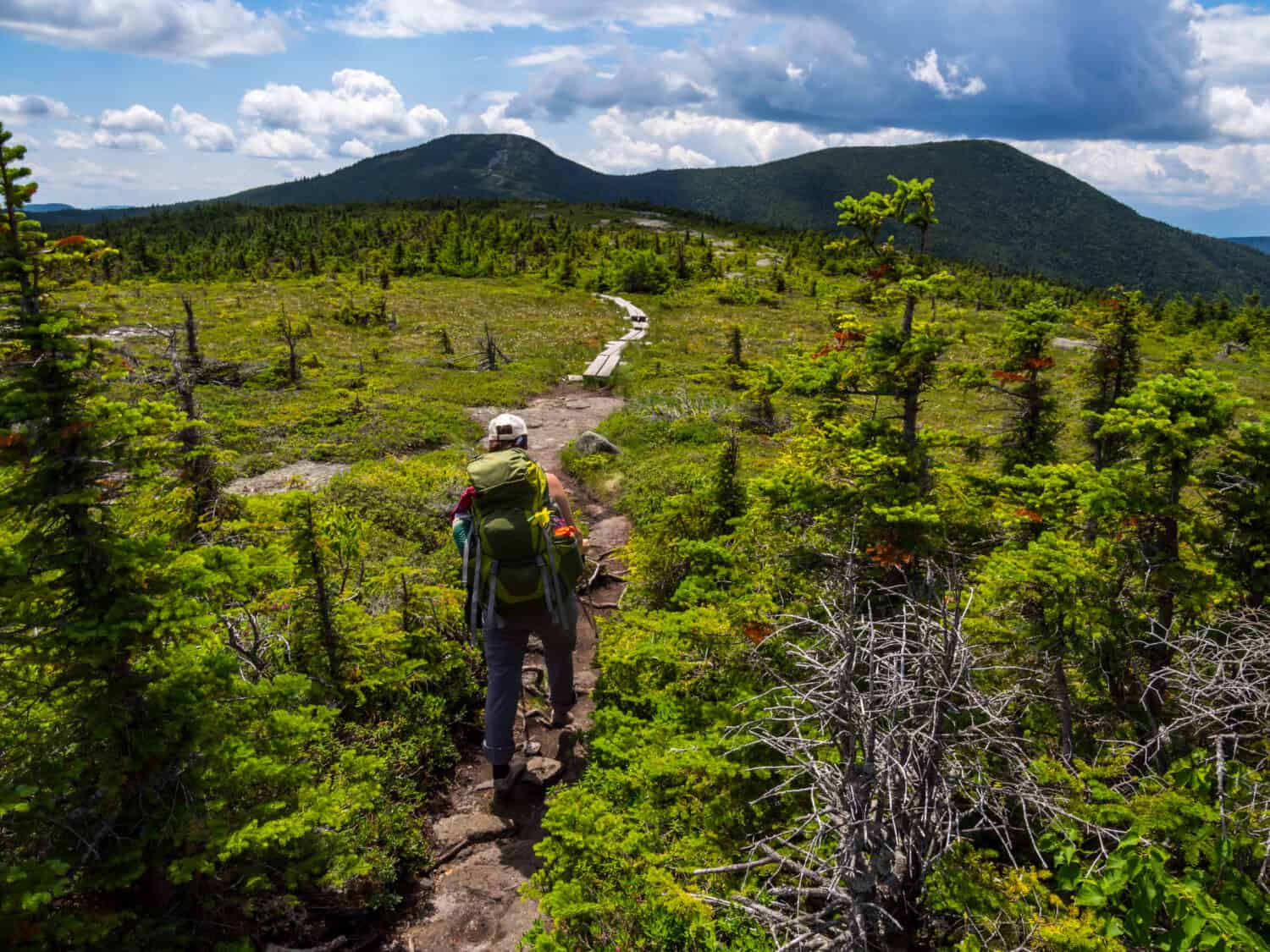 Appalachian Trail vs Continental Divide Trail: Which Iconic American Trail Should You Do First?