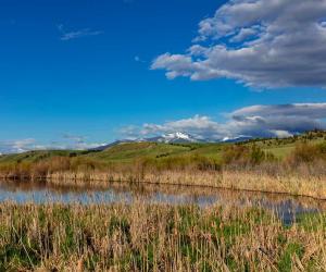 Hunting in Montana: 6 Great Public Hunting Lands