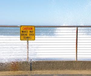 What Is a King Tide? Causes, Frequency, and More!