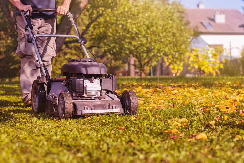 Never Forget These 14 Steps to Winterize Your Lawnmower