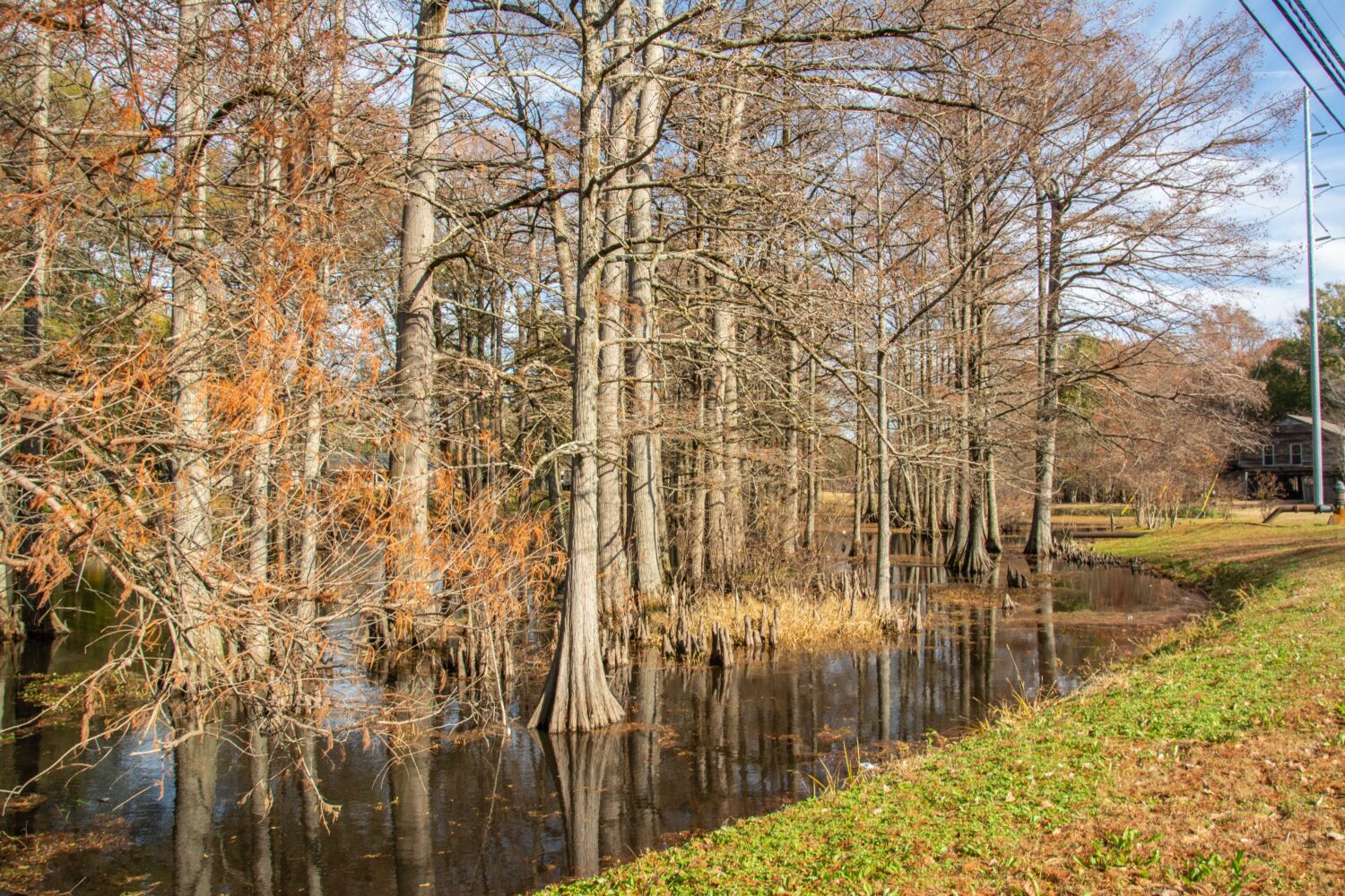 10 Best Kept Secret Places to Retire In Mississippi