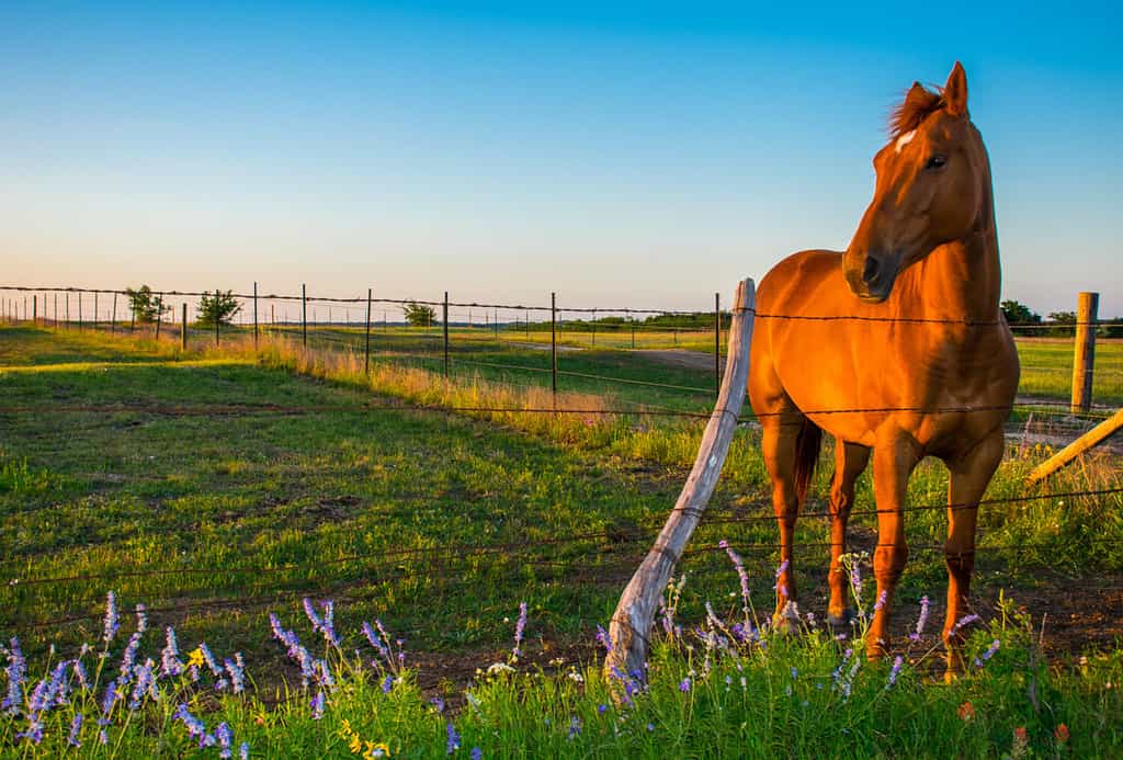 Discover the 5 Most Remote Spots in Texas And How to Safely Get There