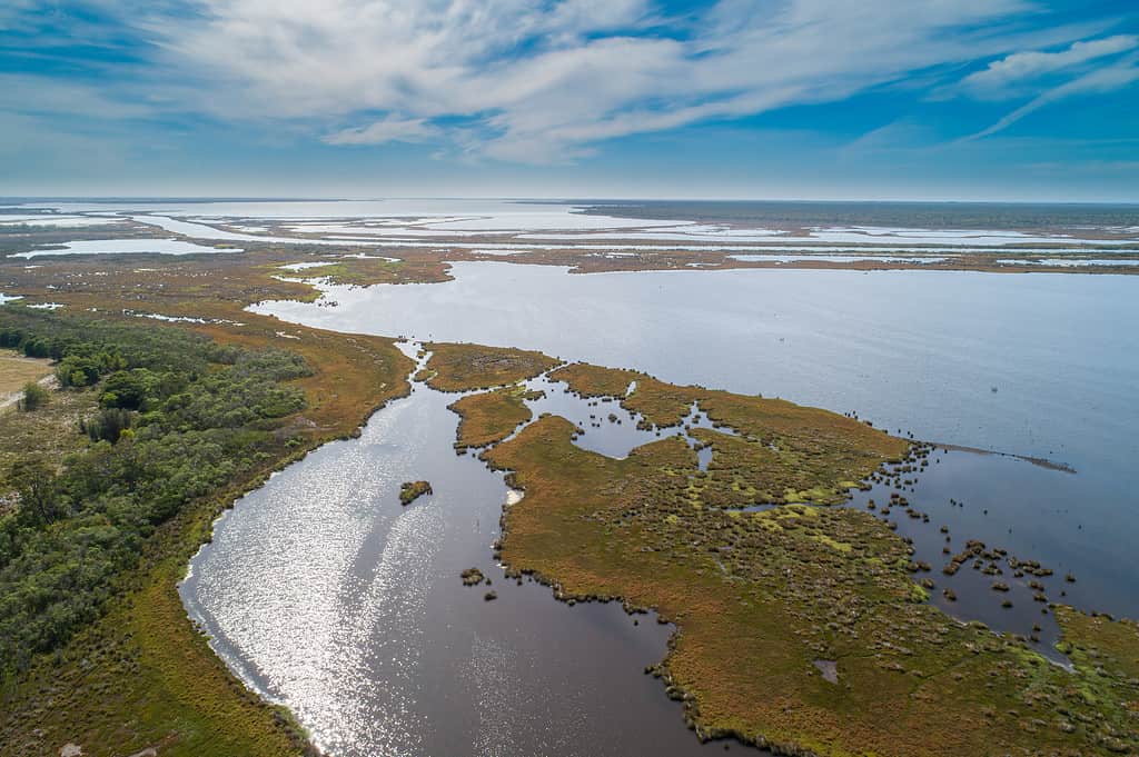 The 5 Most Polluted Lakes in Victoria