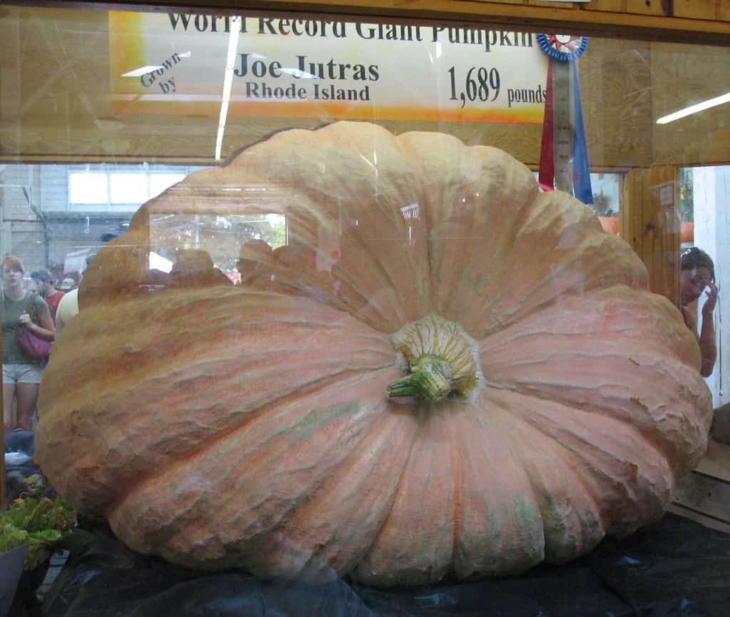 The Heaviest Jack O' Lantern Ever Carved Weighed as Much as a Car