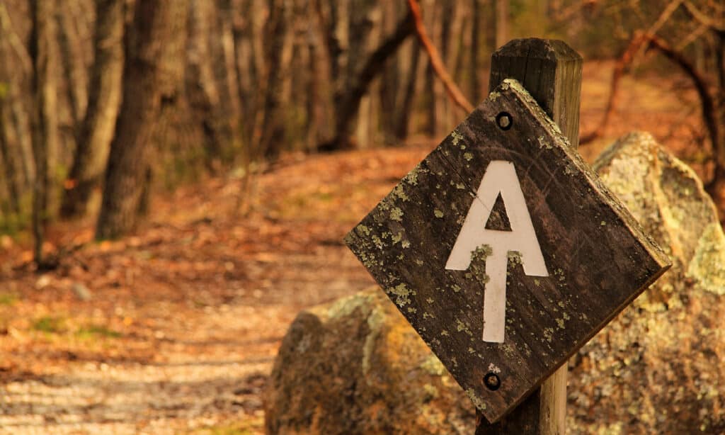 Appalachian Trail vs. Pacific Crest Trail: Which Iconic American Trail Should You Do First?