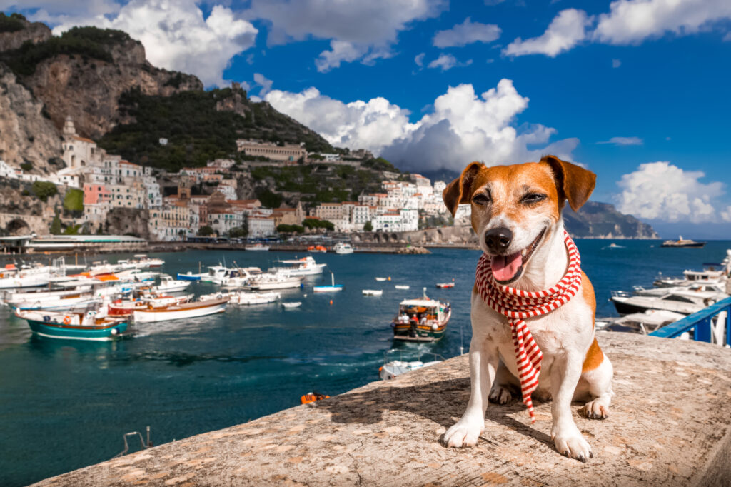 The 200 Best Italian Dog Names and Their Meanings