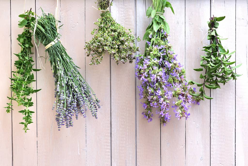 14 Creative Things To Do With Dried Flowers