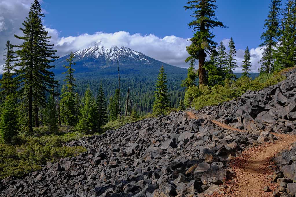 Appalachian Trail vs. Pacific Crest Trail: Which Iconic American Trail Should You Do First?