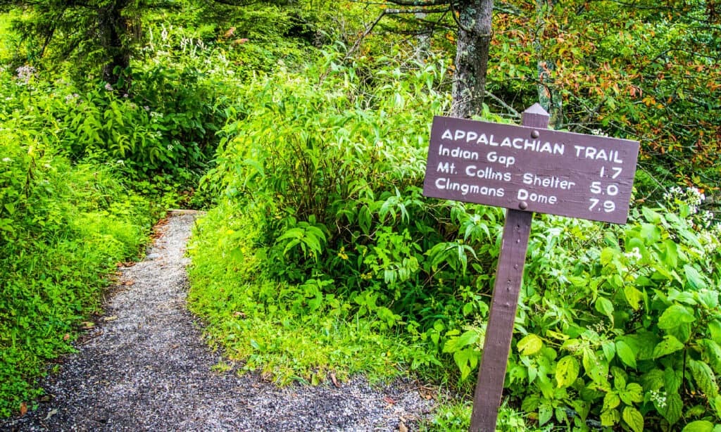 Appalachian Trail vs. Pacific Crest Trail: Which Iconic American Trail Should You Do First?