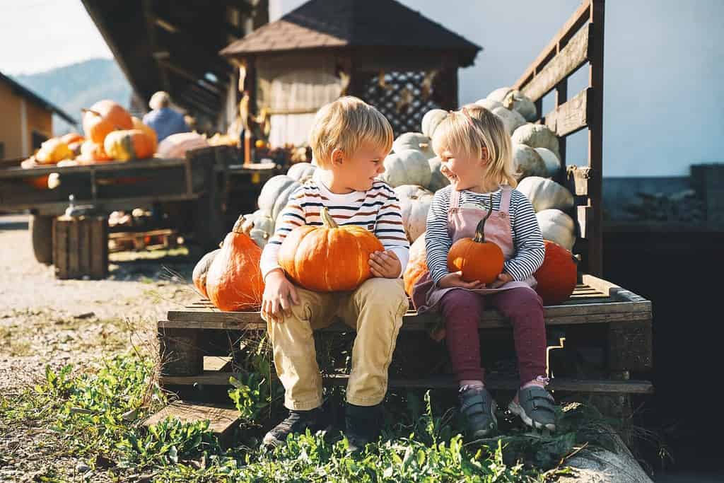 Explore the 10 Best Pumpkin Patches in Delaware To Experience Autumn