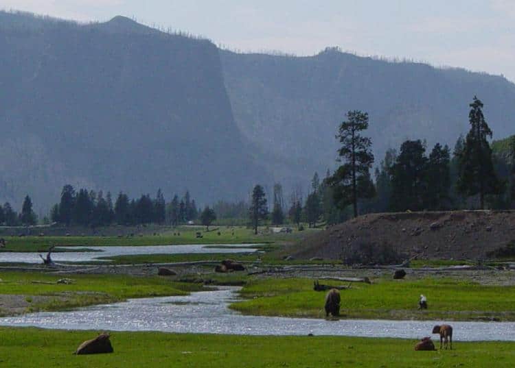 Hunting in Wyoming: 12 Great Public Hunting Lands