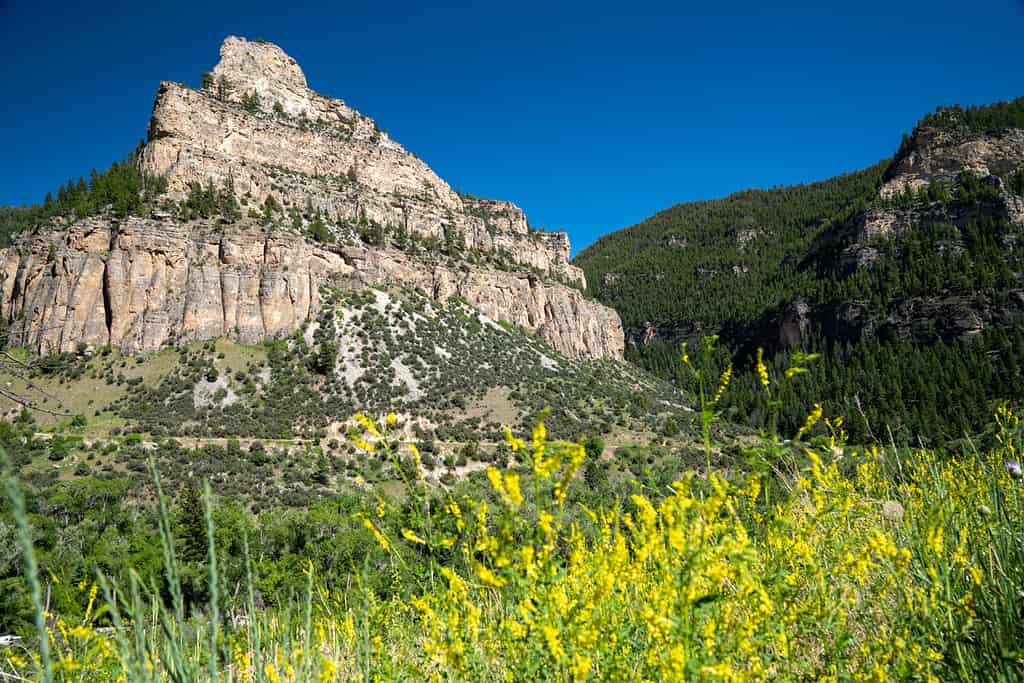 Hunting in Wyoming: 12 Great Public Hunting Lands