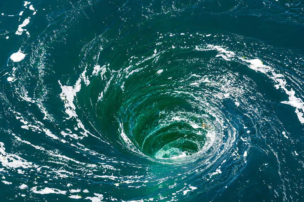 Ocean Eddies - Discover the 'Black Holes' of the Ocean