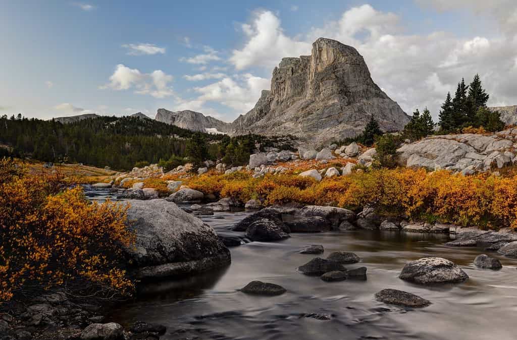 Hunting in Wyoming: 12 Great Public Hunting Lands