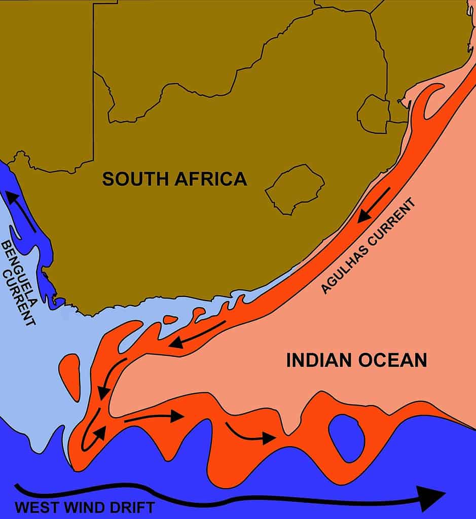 Ocean Eddies - Discover the 'Black Holes' of the Ocean