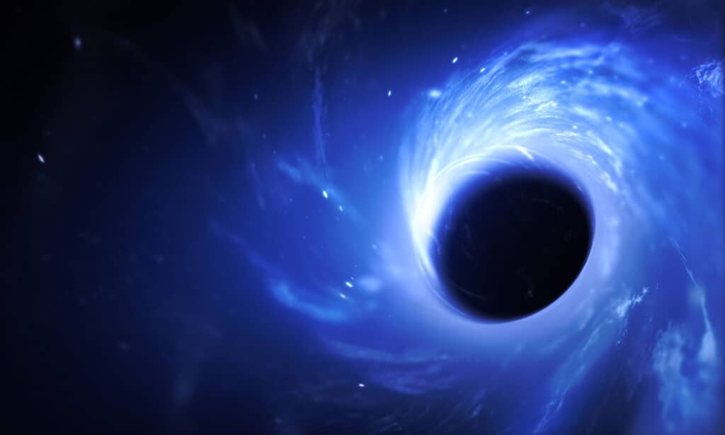 Ocean Eddies - Discover the 'Black Holes' of the Ocean