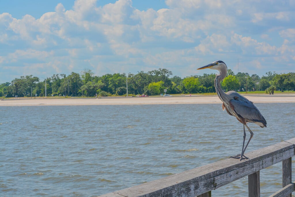 5 Beaches in the United States That Are Amazing Yet Affordable