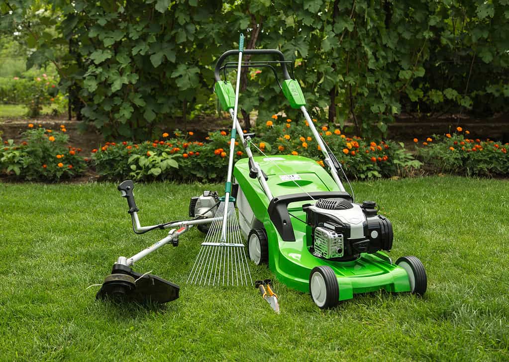 How Short Should You Cut Your Grass Before Winter? 5 Helpful Tips