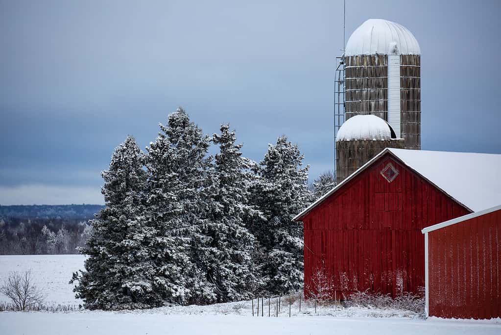 The Winter Season: Symbolism and Significance